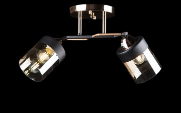 Люстра с плафонами L7470/2 (FG+BK)