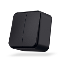 VIDEX BINERA IP20 Выключатель наружный 2кл черный графит (VF-BNS12-BG) (12/120)